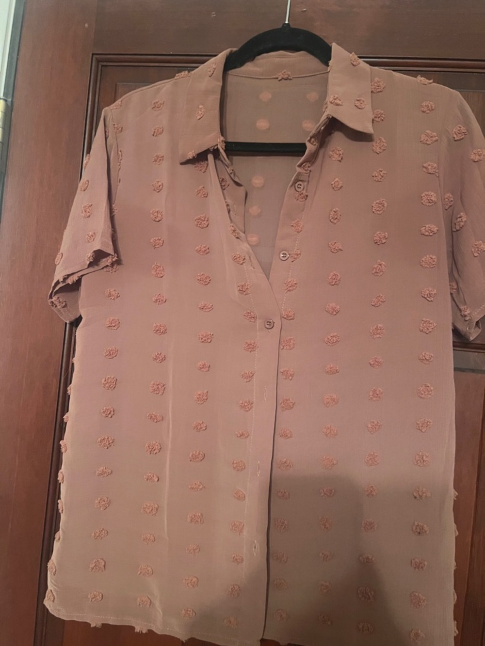 Light brown Textured Dot Button-Up Blouse